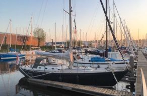 Koopmans 33